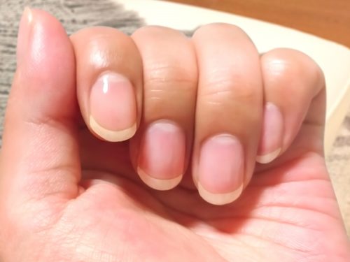 05-6　育成仕上がり